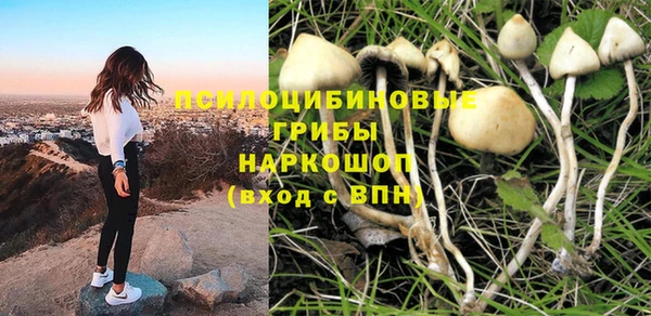 гидропоника Нефтегорск