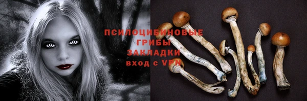 мяу мяу мука Нея