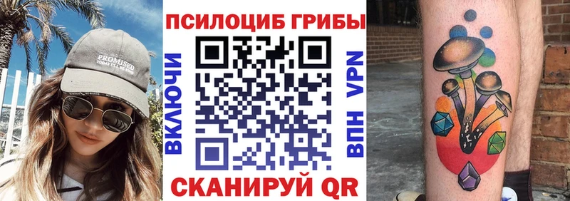 где продают   Шахты  Псилоцибиновые грибы Psilocybine cubensis 