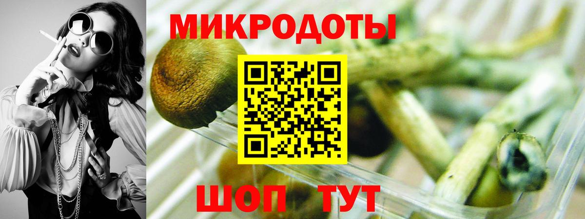 Шахты  цены   Псилоцибиновые грибы GOLDEN TEACHER  Вход с VPN  Псилоцибиновые грибы Cubensis 