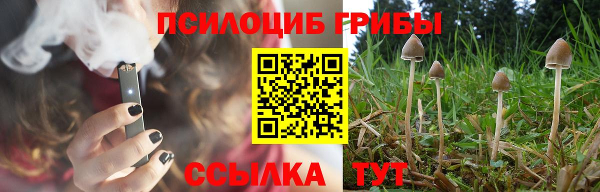 Галлюциногенные грибы Psilocybine cubensis Шахты